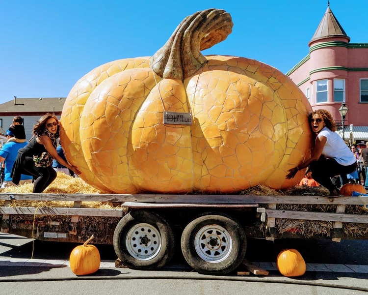Things to do this fall in san francisco